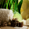 cocoa candles and aloe vera leaves